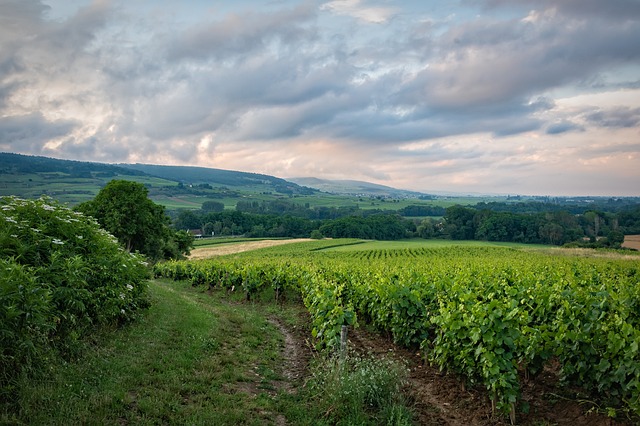 Site internet Bourgogne franche comté